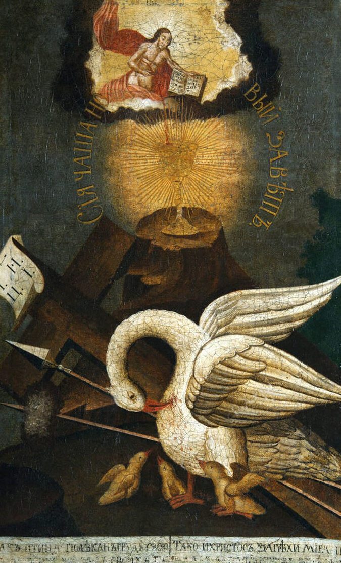 The Sacred Symbolism Unveiled: Exploring the Spiritual Meaning of Pelican